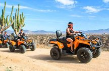 Beach and Desert 4x4 ATV Tour