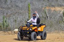 Beach and Desert 4x4 ATV Tour
