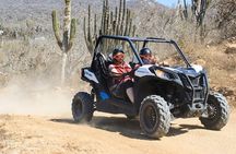 Migriño & Desert off-road Tour UTV Adventure