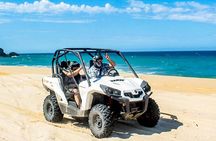 Migriño & Desert off-road Tour UTV Adventure