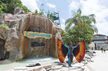 Chankanaab Park All inclusive Day pass and snorkel with Lunch