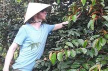 FULL Day - CAI RANG FLOATING MARKET, COOKING CLASS AND EXPLORE THE COUNTRYSIDE