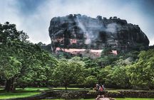 3 Days Tour to Kandy Nuwara Eliya & Sigiriya from Colombo