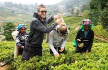 2 -Days private tour to Nuwara Eliya from Colombo