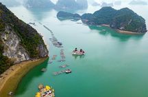 Lan Ha bay luxury cruise 2D/1N: Kayaking, jumping & swimming at pristine places