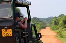 Ella: Transfer to Tangalle/Mirissa/Galle & Yala/Udawalawe Safari