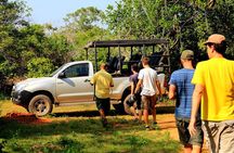 Ella: Transfer to Tangalle/Mirissa/Galle & Yala/Udawalawe Safari