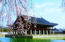 Seoul Highlights Seoul Must See {Private Tour}