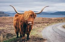 Glasgow: Isle of Skye, The Highlands and Loch Ness - 3 Day Tour