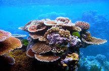 Private Phi Phi & 4 Islands Sunset Cruise by Speedboat - from Krabi