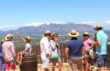 Montserrat,Vineyard, Wine Tasting Small Group Tour & Hotel Pickup