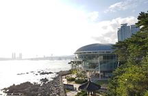 One Day Private Busan Tour with Local Tour Guide
