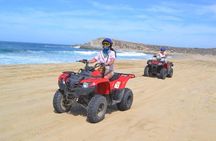 Los Cabos Single or Double ATV Beach and Desert Tour