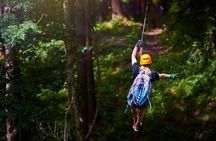 King Kong Extreme Zipline, City Tour and Transfer