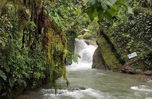 Mindo Cloud Forest & Middle of the World Tour from Quito