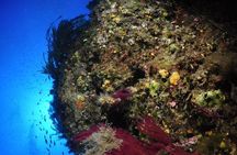 Etna & Diving Jeep Tour
