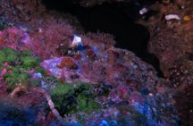 Etna & Diving Jeep Tour