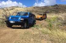 3-Hour Guided Jeep Tour Island Highlights and 1-Hour Relax by Beach