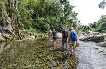 El Yunque Rainforest Tour with Transport from San Juan