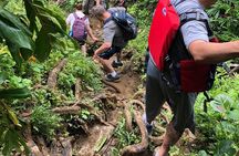 El Yunque Off the Beaten Path Tour with Transportation