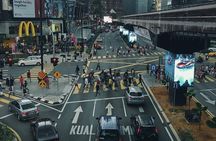 Layover & Stopover in Kuala Lumpur: Private tour