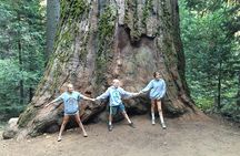Off-Road Giant Sequoia 4x4 Tour