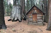 Off-Road Giant Sequoia 4x4 Tour