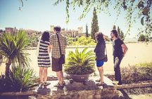 Granada Private Tapas & Walking Tour