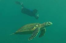 Private Phi Phi & 4 Islands Sunset Cruise by Speedboat - from Krabi