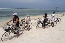 Gili Trawangan Island Day trip from Bali 