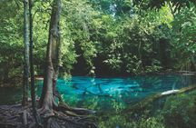 Kayaking in Ao Thalane - Discover the Mangrove life