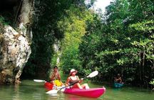 Kayaking in Ao Thalane - Discover the Mangrove life