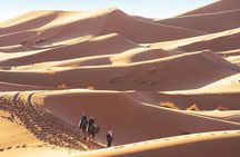 The Grand South of Morocco 