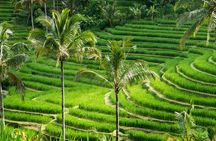 Kintamani Tours with Batur volcano