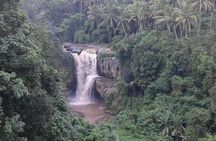Half Day Bali Tour