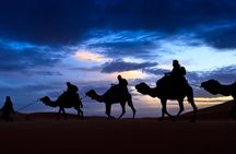2 Days 1 Night To Zagora Desert From Marrakech
