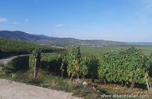 ICONICS Tour: 1/2 day on the Wine Route, visit of 2 Villages + Tasting.