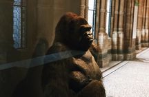 Natural History Museum London - Exclusive Guided Museum Tour
