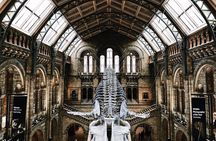 Natural History Museum London - Exclusive Guided Museum Tour