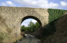 Parenzana Trail Biking Experience from Koper