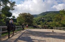 Half-Day Horseback Ride in Tuscany for beginner riders
