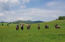Half-Day Horseback Ride in Tuscany for beginner riders