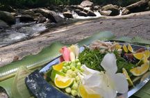 Forest Forager - Wild Food Walk
