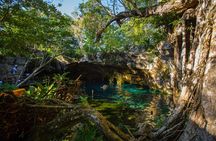 Cenotes trail jungle bike tour in Tulum with lunch