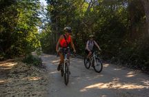 Cenotes trail jungle bike tour in Tulum with lunch