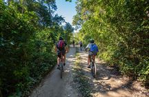 Cenotes trail jungle bike tour in Tulum with lunch