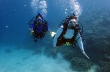 Guam's Best Beach Diving! Beginner and Advanced Dives