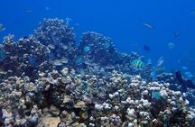 Guam's Best Beach Diving! Beginner and Advanced Dives