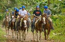 Horseback Ride to La Fortuna Waterfall