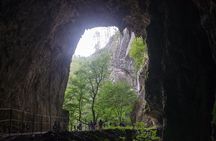 Lipica Stud Farm and Skocjan Caves from Piran or Portoroz or Izola